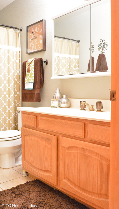 Guest Bathroom Before